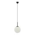 ITALUX - Hanglamp aan kabel DEORE 1xE27/40W/230V Ø 25 cm zwart
