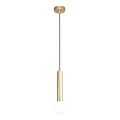 ITALUX - Hanglamp met kabel FILANO 1xG9/5W/230V goudkleurig
