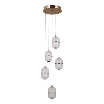 ITALUX - LED-hanglamp aan kabel ALANI 5xLED/5,6W/230V 3000K goudkleurig