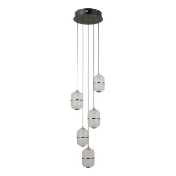 ITALUX - LED-hanglamp aan kabel ALANI 5xLED/5,6W/230V 3000K zwart/goud