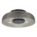 ITALUX - LED plafondlamp PASSO LED/8W/230V 3000K diam. 25 cm rookzwart