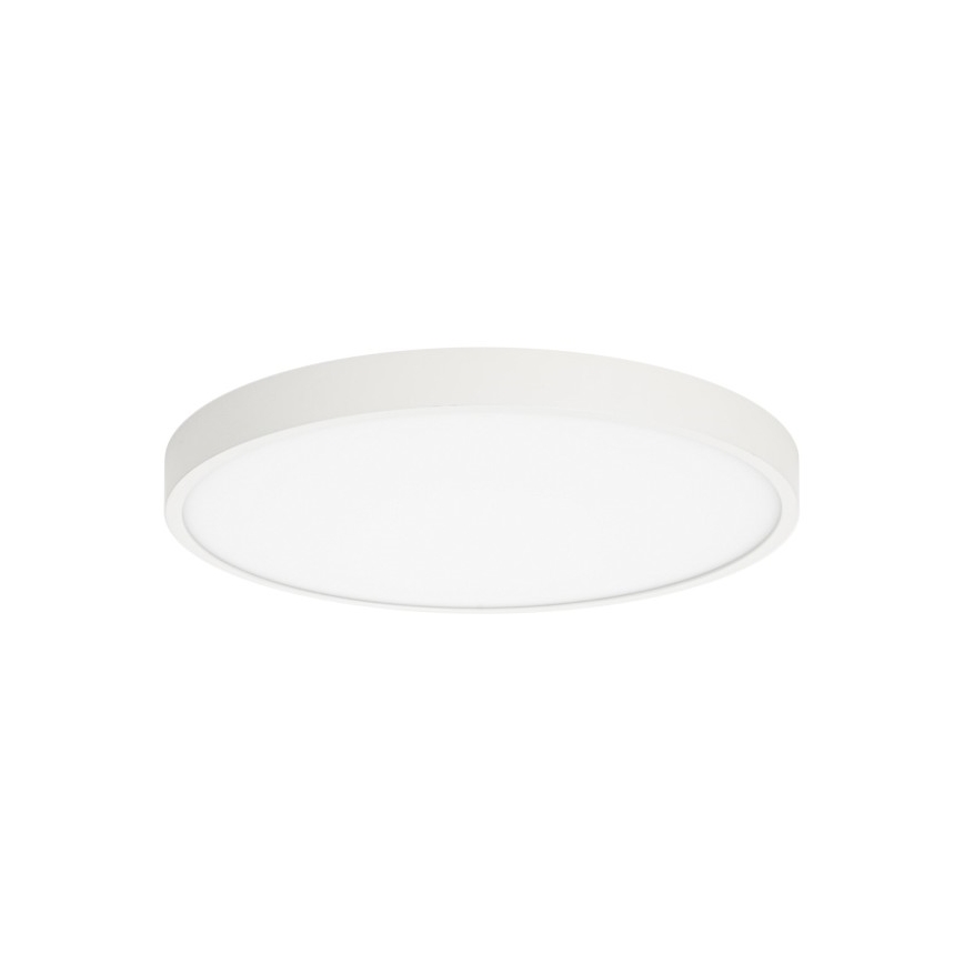 ITALUX - LED Plafondlamp RIBERIO LED/30W/230V 3000K wit