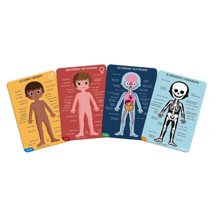 Janod - Educatief kinderspel puzzel 225 stuks menselijk lichaam