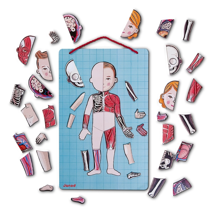 Janod - Magnetische puzzel BODYMAGNET menselijk lichaam