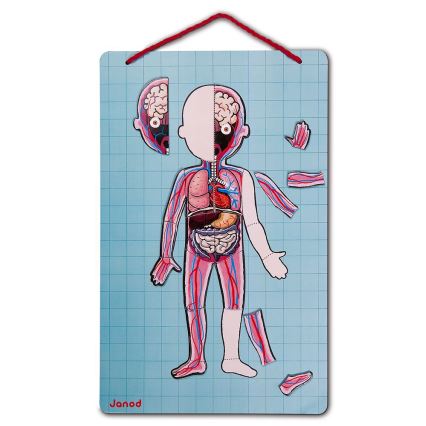 Janod - Magnetische puzzel BODYMAGNET menselijk lichaam