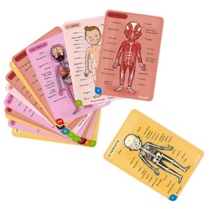 Janod - Magnetische puzzel BODYMAGNET menselijk lichaam