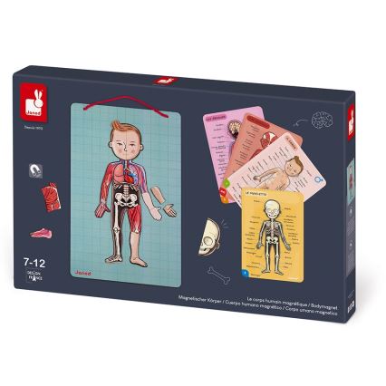 Janod - Magnetische puzzel BODYMAGNET menselijk lichaam