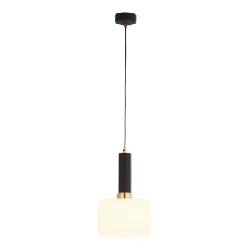 Jupiter 1852 - VA1 - Hanglamp aan koord VANES 1xE27/60W/230V gouden/zwart