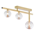 Jupiter 1898 - Opbouwplafondlamp NEPTUN 3xG9/14W/230V goud