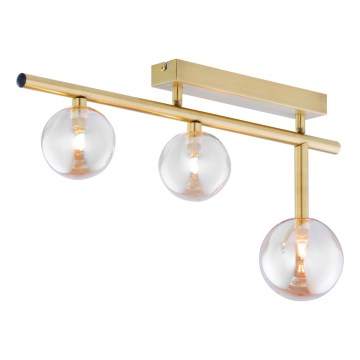 Jupiter 1898 - Opbouwplafondlamp NEPTUN 3xG9/14W/230V goud