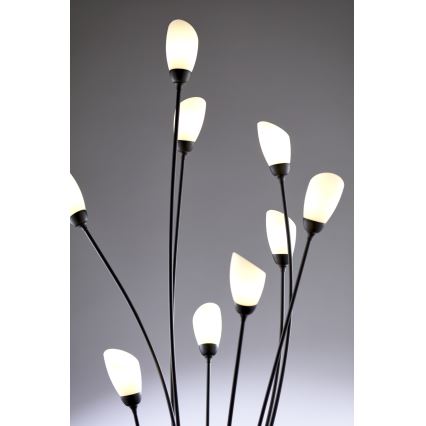 Jupiter 2058 - Vloerlamp GLORIOSA 9xG9/14W/230V zwart