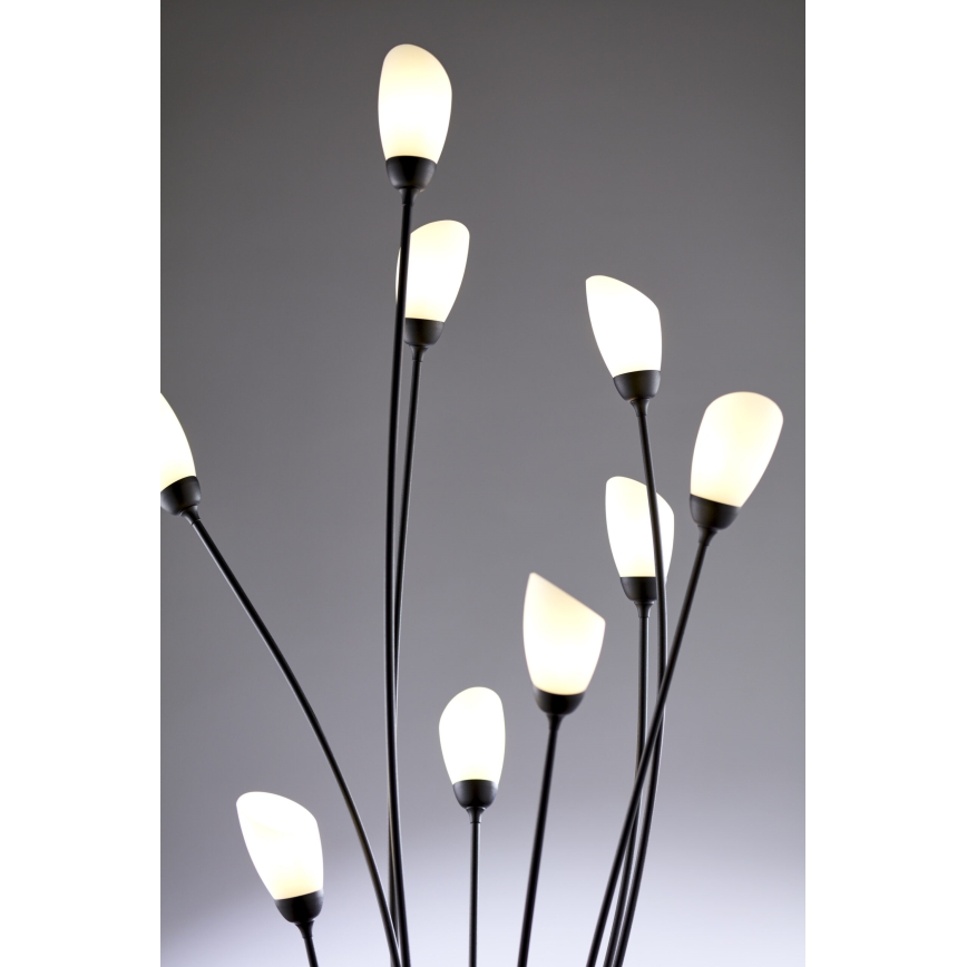 Jupiter 2058 - Vloerlamp GLORIOSA 9xG9/14W/230V zwart