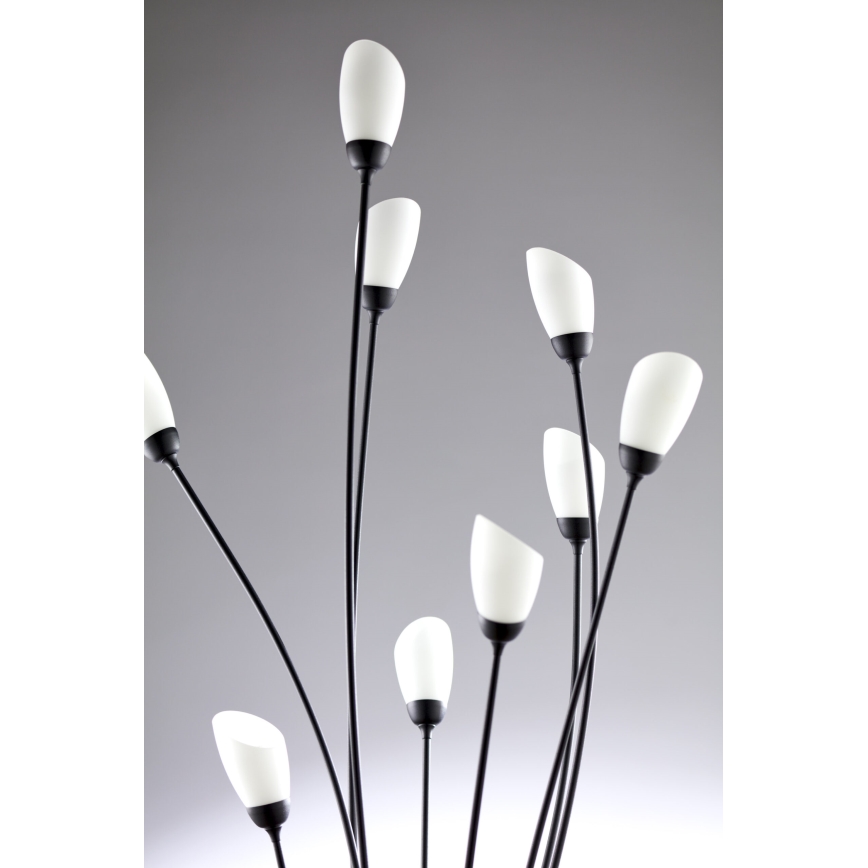 Jupiter 2058 - Vloerlamp GLORIOSA 9xG9/14W/230V zwart