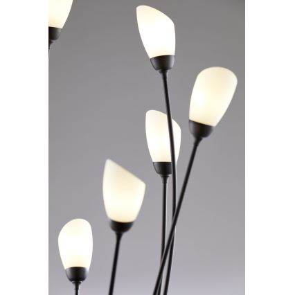 Jupiter 2058 - Vloerlamp GLORIOSA 9xG9/14W/230V zwart