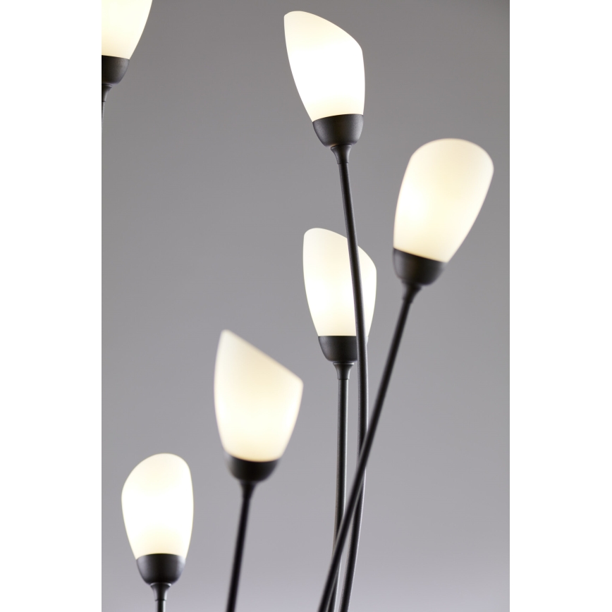 Jupiter 2058 - Vloerlamp GLORIOSA 9xG9/14W/230V zwart