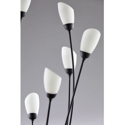 Jupiter 2058 - Vloerlamp GLORIOSA 9xG9/14W/230V zwart