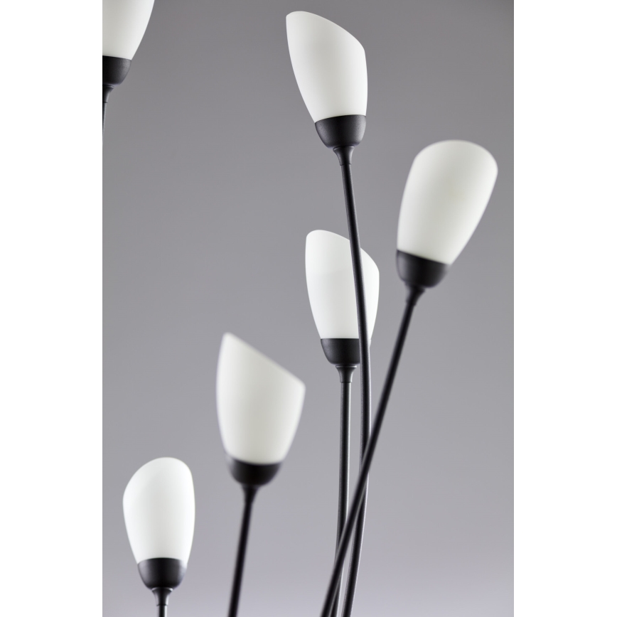 Jupiter 2058 - Vloerlamp GLORIOSA 9xG9/14W/230V zwart