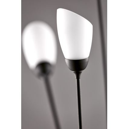 Jupiter 2058 - Vloerlamp GLORIOSA 9xG9/14W/230V zwart