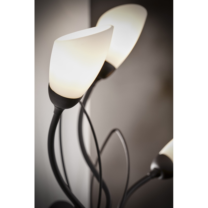Jupiter 2059 - Wandlamp GLORIOSA 3xG9/14W/230V zwart