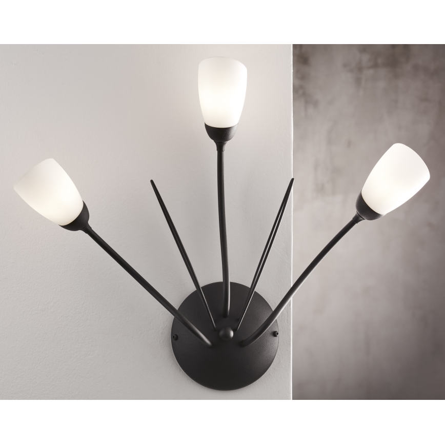 Jupiter 2059 - Wandlamp GLORIOSA 3xG9/14W/230V zwart