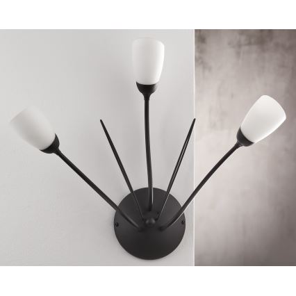 Jupiter 2059 - Wandlamp GLORIOSA 3xG9/14W/230V zwart