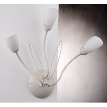 Jupiter 2064 - Wandlamp GLORIOSA 3xG9/14W/230V crème