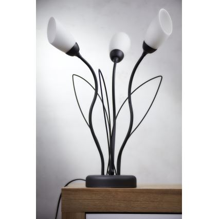 Jupiter 2065 - Tafellamp GLORIOSA 3xG9/14W/230V zwart