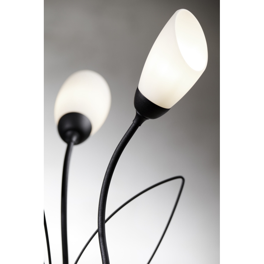 Jupiter 2065 - Tafellamp GLORIOSA 3xG9/14W/230V zwart