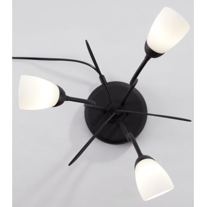 Jupiter 2065 - Tafellamp GLORIOSA 3xG9/14W/230V zwart