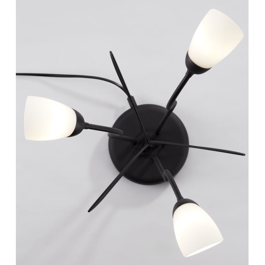 Jupiter 2065 - Tafellamp GLORIOSA 3xG9/14W/230V zwart