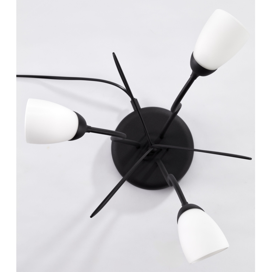 Jupiter 2065 - Tafellamp GLORIOSA 3xG9/14W/230V zwart