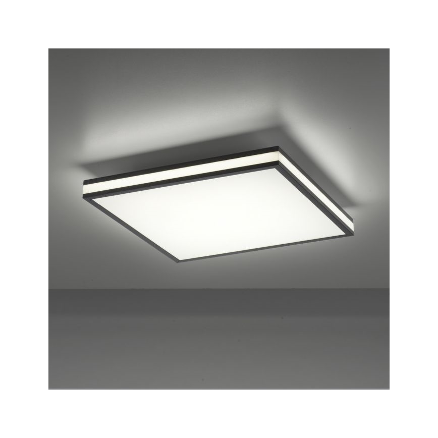 JUST LIGHT. 14110-18 - LED RGBW Dimbare plafondlamp MARIO BLACK LED/19,5W/230V 2700-5000K + afstandsbediening