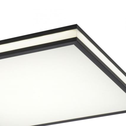 JUST LIGHT. 14110-18 - LED RGBW Dimbare plafondlamp MARIO BLACK LED/19,5W/230V 2700-5000K + afstandsbediening
