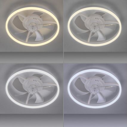 JUST LIGHT. 14624-16 - RITA dimbare LED-plafondventilator met geïntegreerd licht LED/22W/230V 3000-6000K Ø 50 cm wit + afstandsbediening