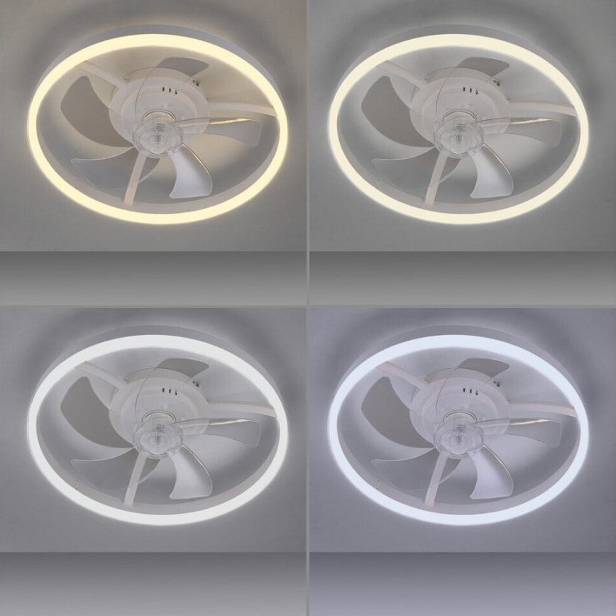 JUST LIGHT. 14624-16 - RITA dimbare LED-plafondventilator met geïntegreerd licht LED/22W/230V 3000-6000K Ø 50 cm wit + afstandsbediening