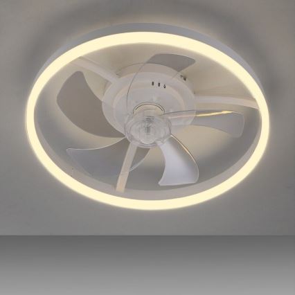 JUST LIGHT. 14624-16 - RITA dimbare LED-plafondventilator met geïntegreerd licht LED/22W/230V 3000-6000K Ø 50 cm wit + afstandsbediening