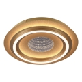 JUST LIGHT. 15089-60 - LED plafondlamp CICHIO LED/36W/230V Ø 40 cm goudkleurig