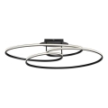 JUST LIGHT. 15321-18 - LED Plafondlamp LUMACA LED/33W/230V zwart
