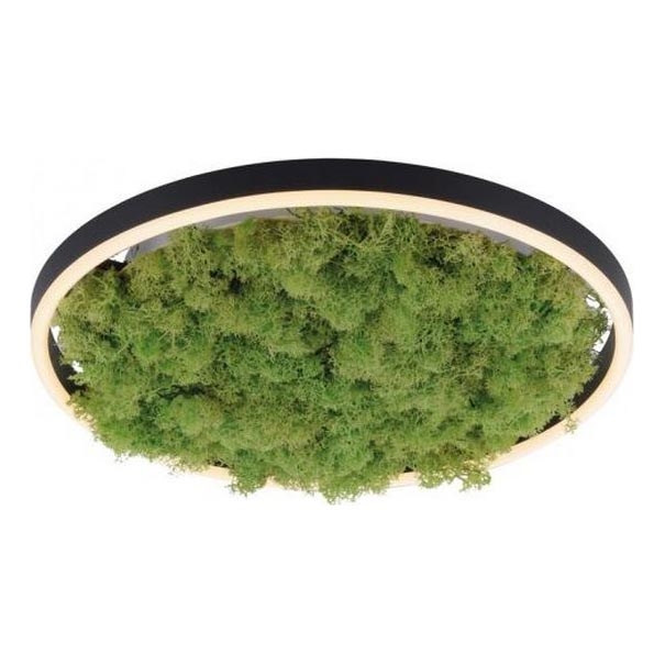 JUST LIGHT. 15391-66 - Dimbare LED plafondlamp GROEN RITU LED/20W/230V