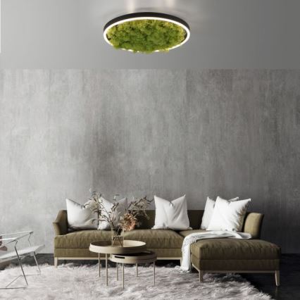JUST LIGHT. 15391-66 - Dimbare LED plafondlamp GROEN RITU LED/20W/230V