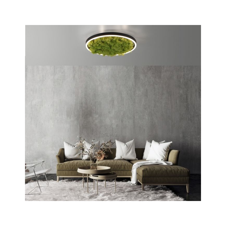 JUST LIGHT. 15391-66 - Dimbare LED plafondlamp GROEN RITU LED/20W/230V