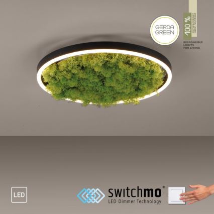 JUST LIGHT. 15391-66 - Dimbare LED plafondlamp GROEN RITU LED/20W/230V