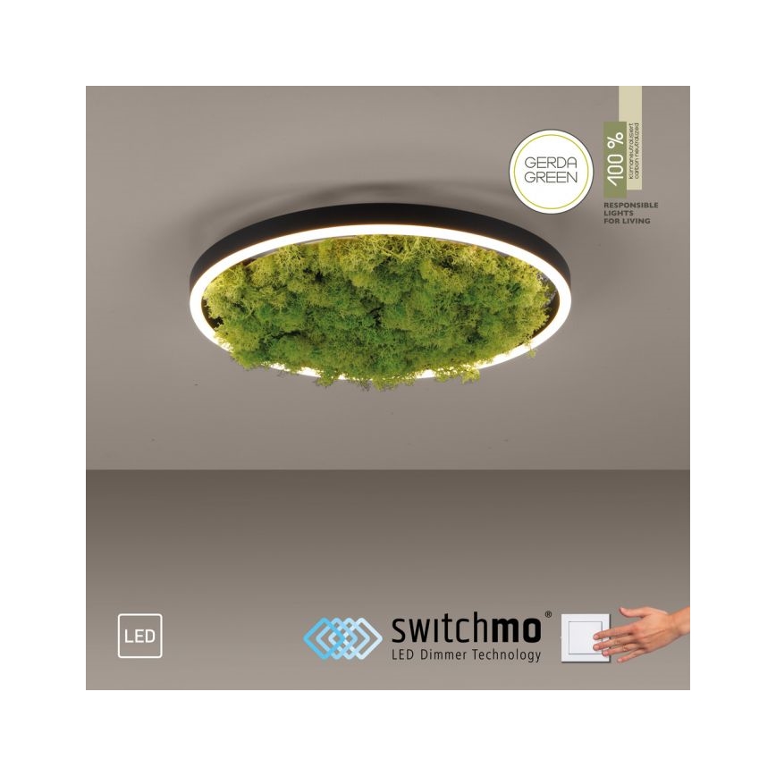 JUST LIGHT. 15391-66 - Dimbare LED plafondlamp GROEN RITU LED/20W/230V