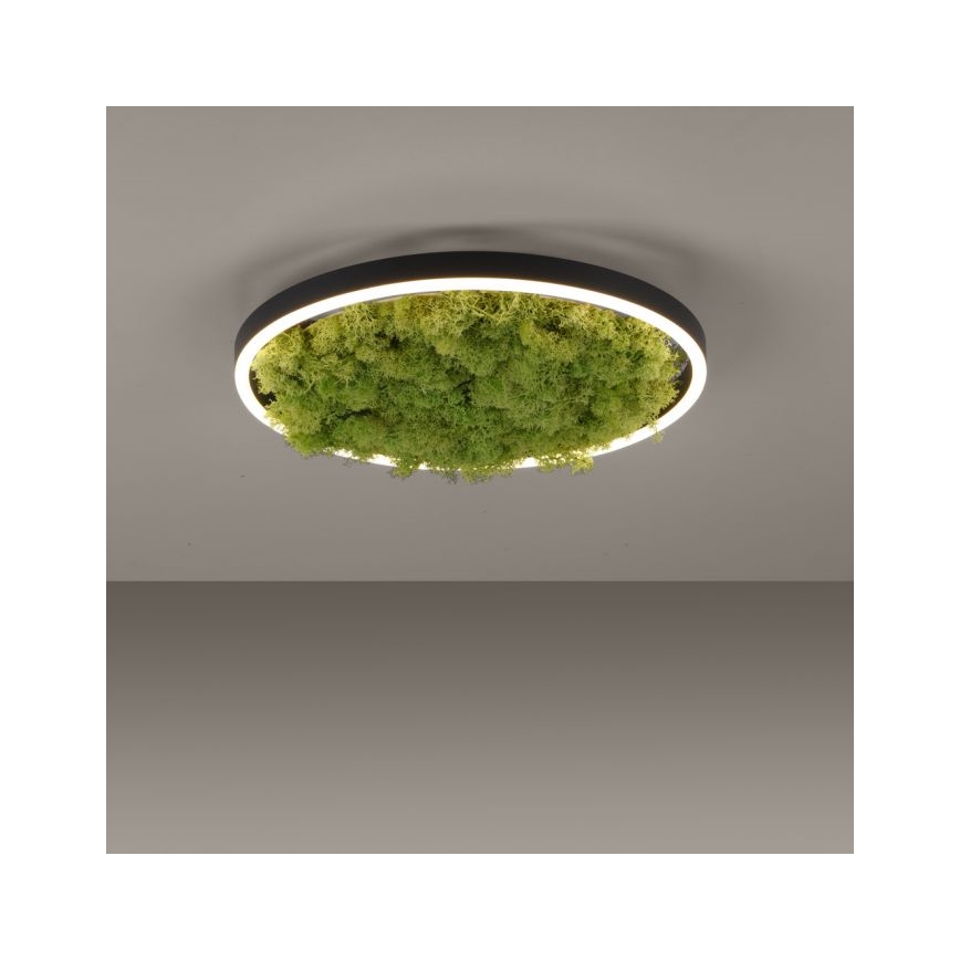 JUST LIGHT. 15391-66 - Dimbare LED plafondlamp GROEN RITU LED/20W/230V