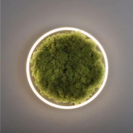 JUST LIGHT. 15391-66 - Dimbare LED plafondlamp GROEN RITU LED/20W/230V