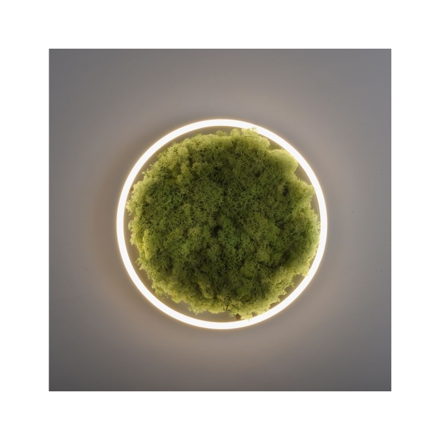 JUST LIGHT. 15391-66 - Dimbare LED plafondlamp GROEN RITU LED/20W/230V