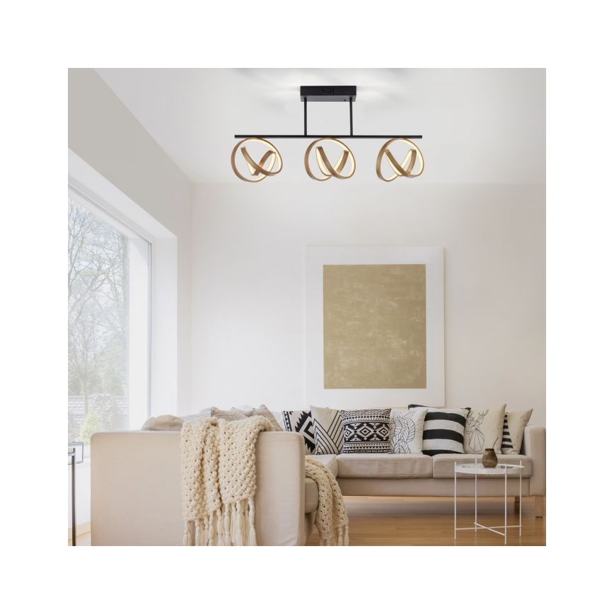 JUST LIGHT. 6245-18 - Dimbare LED bevestigde hanglamp LOOP 3xLED/11W/230V 2700-5000K + afstandsbediening