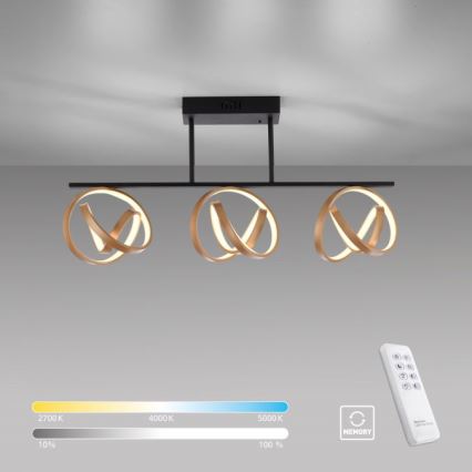 JUST LIGHT. 6245-18 - Dimbare LED bevestigde hanglamp LOOP 3xLED/11W/230V 2700-5000K + afstandsbediening