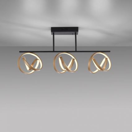 JUST LIGHT. 6245-18 - Dimbare LED bevestigde hanglamp LOOP 3xLED/11W/230V 2700-5000K + afstandsbediening