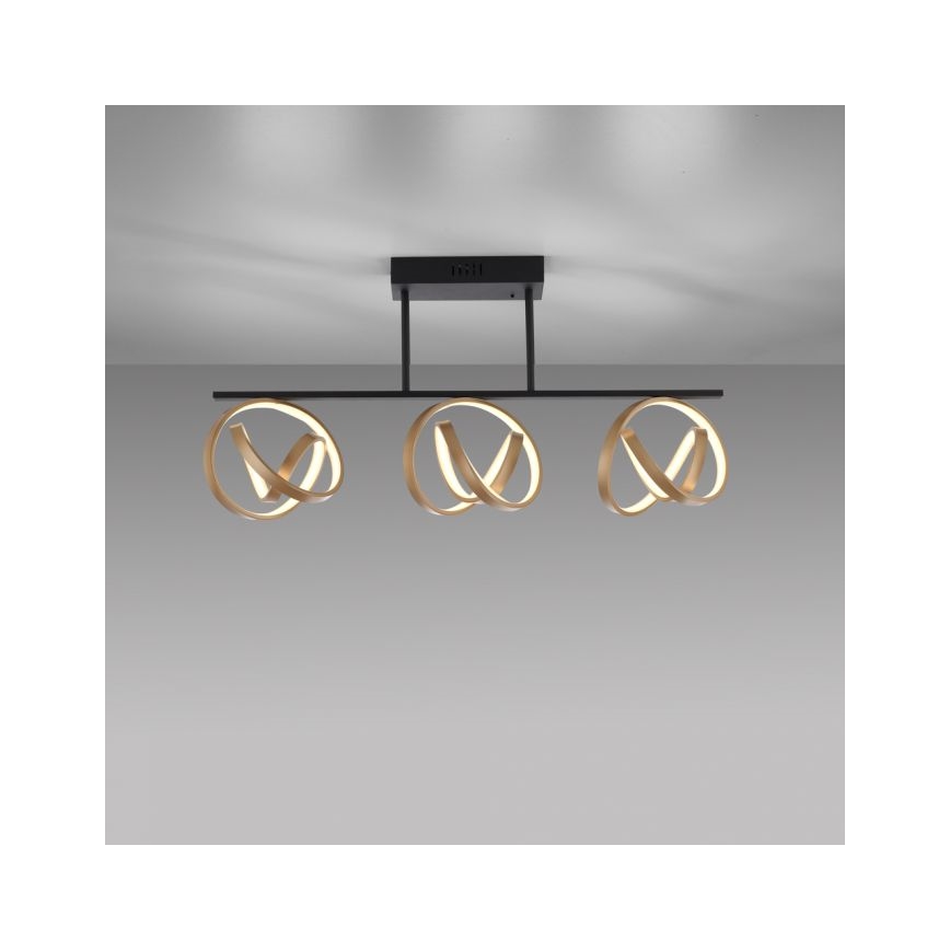 JUST LIGHT. 6245-18 - Dimbare LED bevestigde hanglamp LOOP 3xLED/11W/230V 2700-5000K + afstandsbediening
